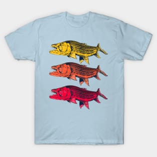 Tiger Fish T-Shirt